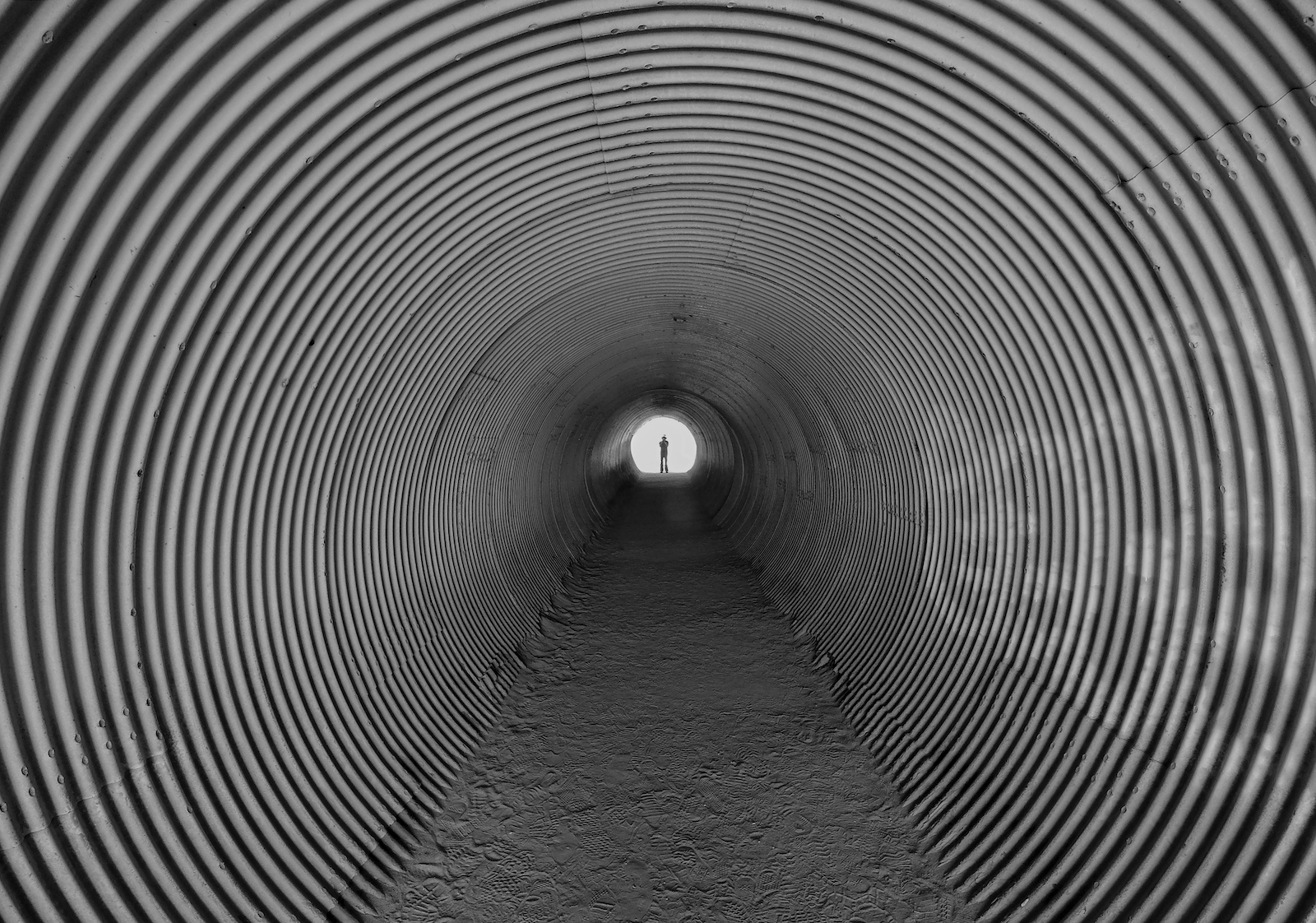 Tunnel Vision Andrew Bernas